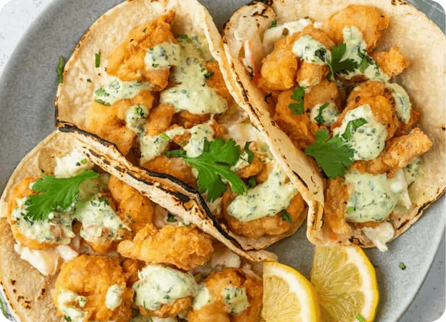 Tacos filled with fried shrimp, topped with creamy sauce and cilantro.